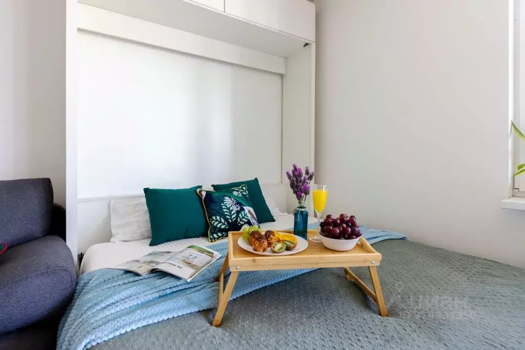 Студия Санкт-Петербург ул. Вадима Шефнера, 12к1 (28.0 м) - Фото 2