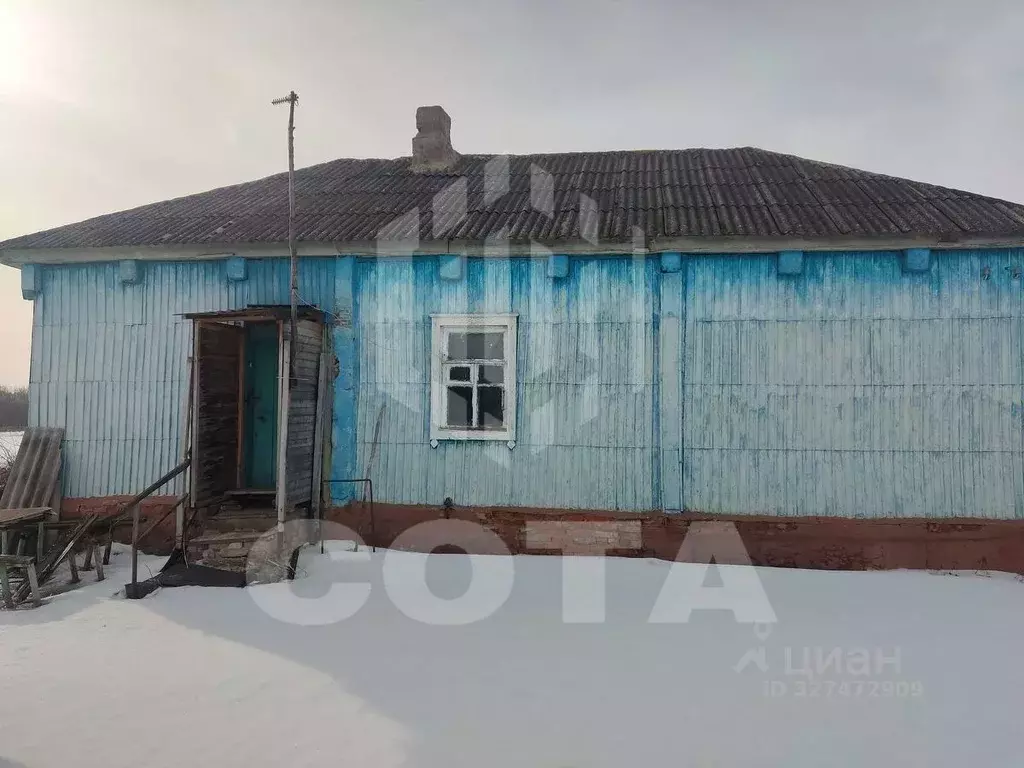 Дом в Воронежская область, Нижнедевицкий район, Норово-Ротаевское ... - Фото 2