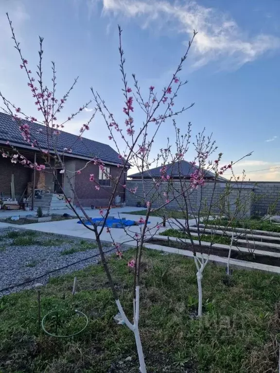 Дом в Северная Осетия, Ардон ул. Лесная, 45 (145 м) - Фото 1