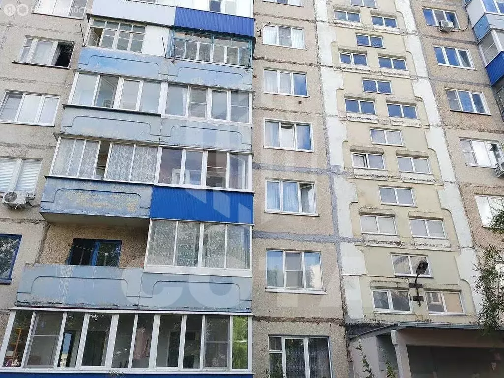 1-комнатная квартира: Елец, улица Коммунаров, 129 (35 м) - Фото 1