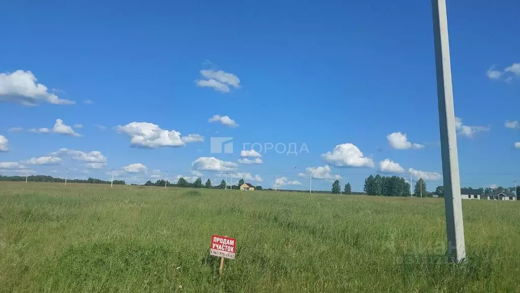 Участок в Алтайский край, Первомайский район, с. Фирсово, Полесье мкр  ... - Фото 0