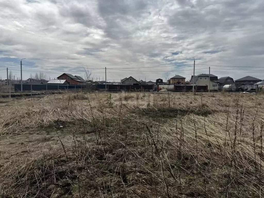 Участок в Мордовия, Саранск городской округ, Николаевка рп ул. Светлая ... - Фото 1