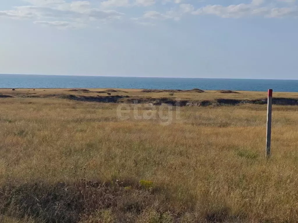 Участок в Крым, Ленинский район, Семисотское с/пос, с. Каменское ул. ... - Фото 1