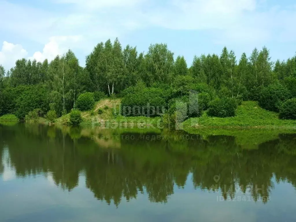 Участок в Нижегородская область, Богородский муниципальный округ, с. ... - Фото 1