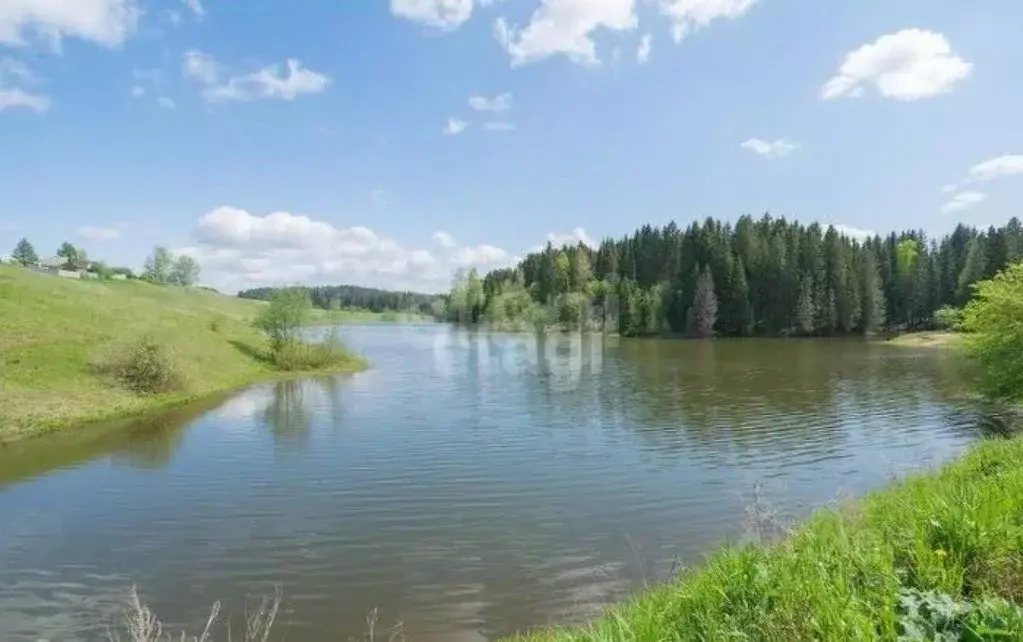 Участок в Пермский край, Пермский муниципальный округ, д. Большакино  ... - Фото 1