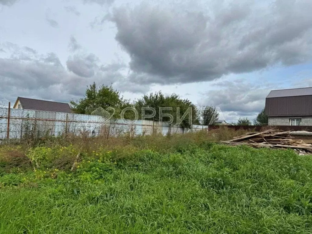 Участок в Тюменская область, Тюмень Царево садовое товарищество, ул. ... - Фото 0