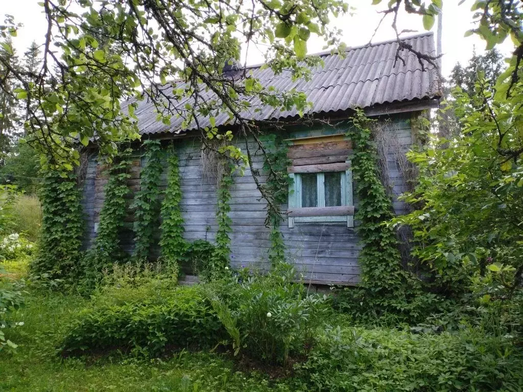 Дом в Карелия, Сортавальский муниципальный округ, пос. Туокслахти 40 ... - Фото 1