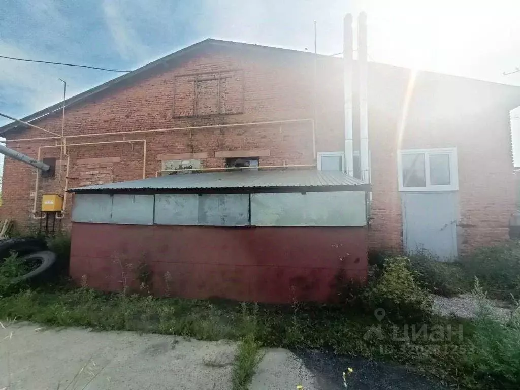 Производственное помещение в Новосибирская область, Черепаново ул. ... - Фото 1