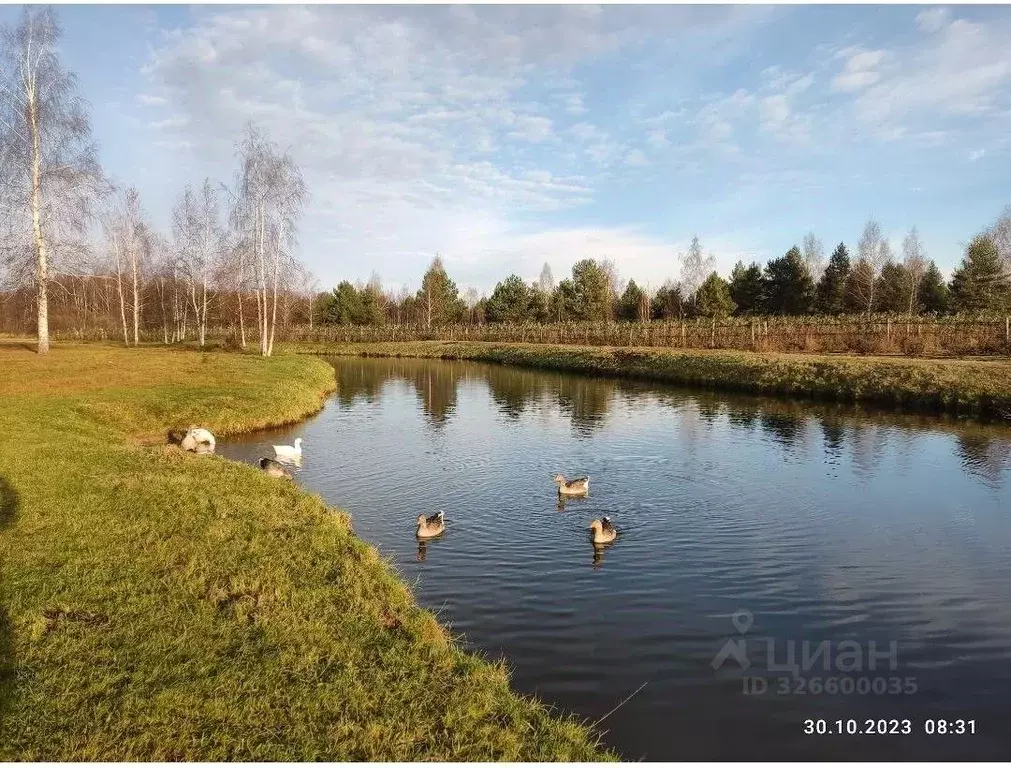 Участок в Рязанская область, Скопинский муниципальный округ, ... - Фото 1