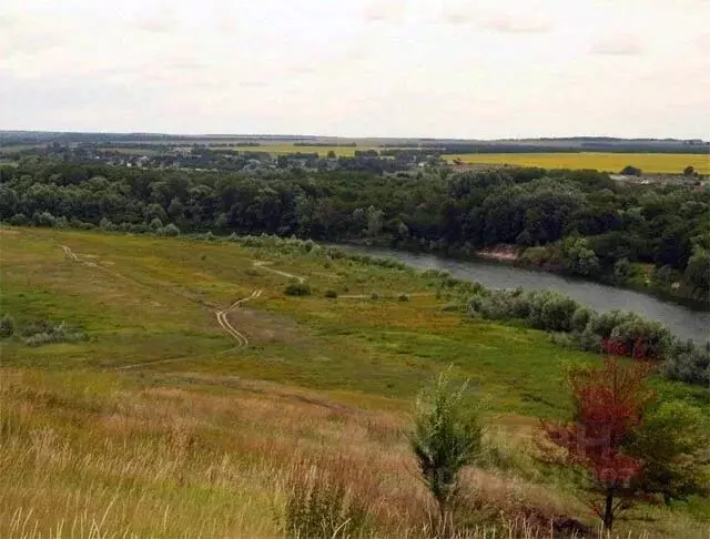 Участок в Воронежская область, Борисоглебский городской округ, д. ... - Фото 2