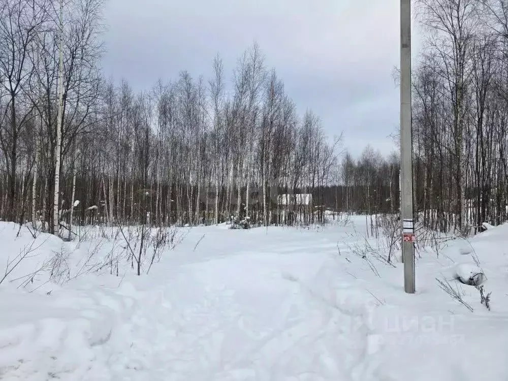 Участок в Костромская область, Костромской район, Кузьмищенское с/пос, ... - Фото 2