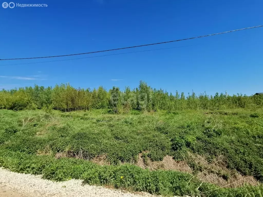 Участок в Ижевск, Остаповская улица (8.3 м) - Фото 1