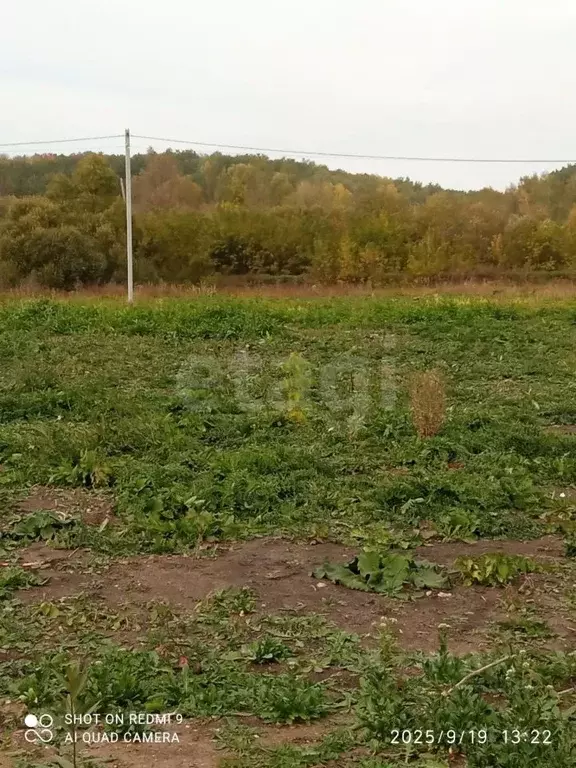 Участок в Мордовия, Лямбирский район, Берсеневское с/пос, д. Русская ... - Фото 2