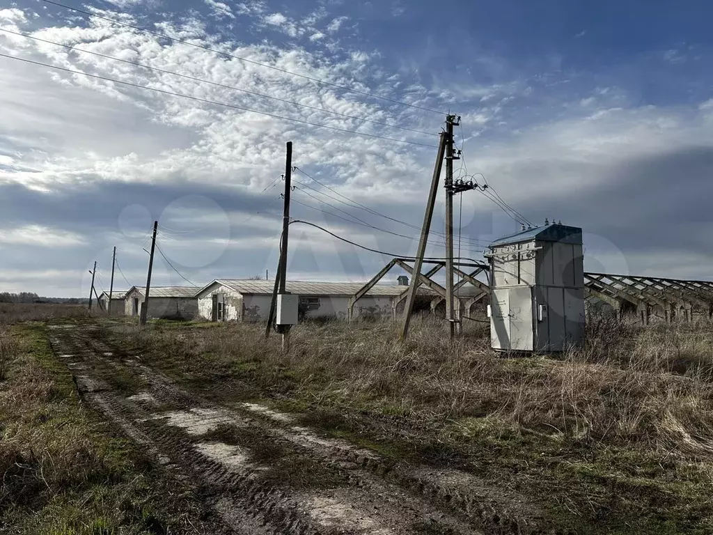 Производство, 2500 м - Фото 0