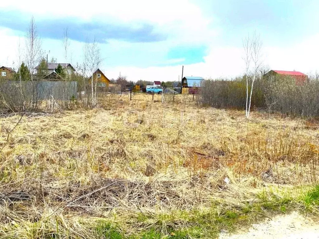 Участок в Тюменская область, Тюменский муниципальный округ, Нива СНТ ... - Фото 2