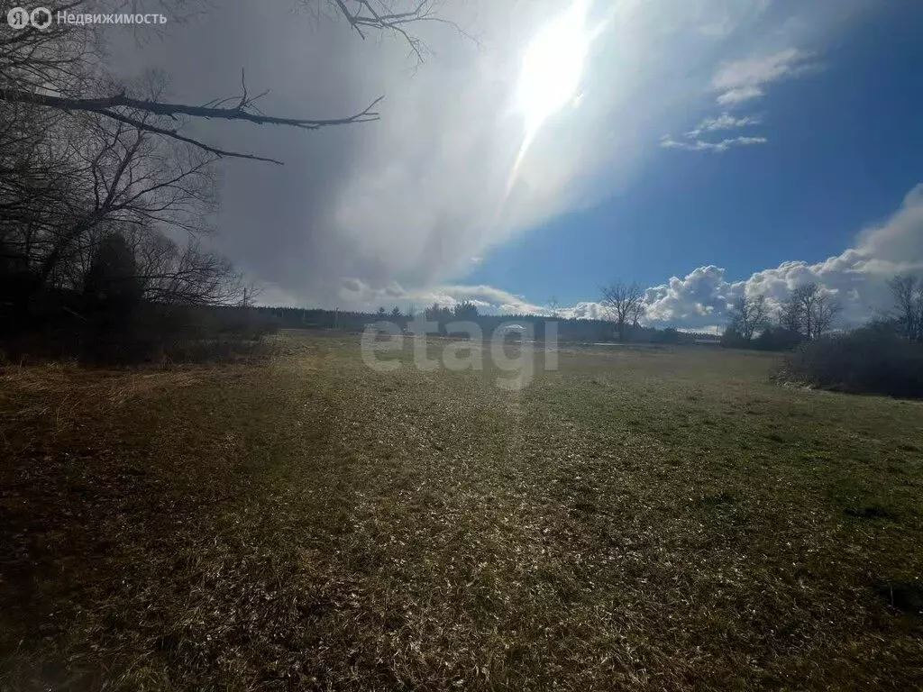 Участок в село Пчельники, улица Мира (54 м) - Фото 2