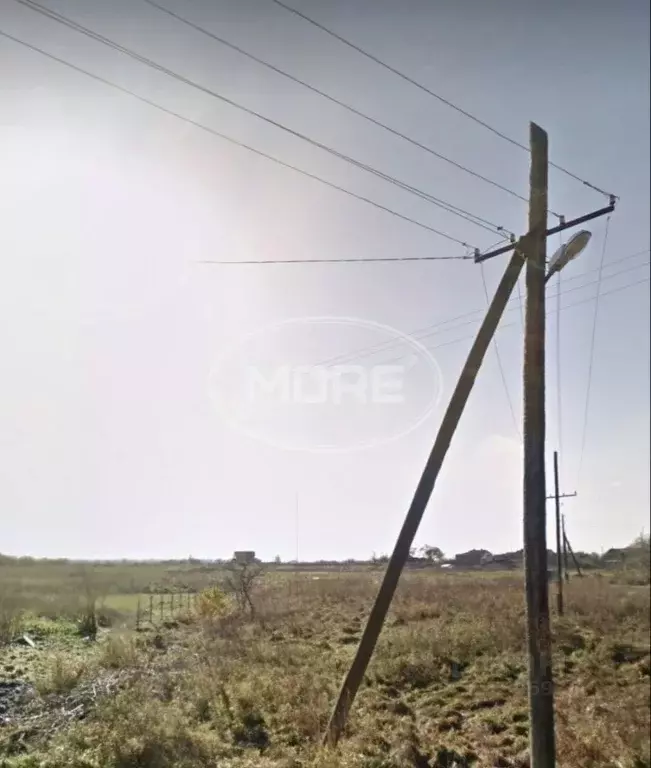 Участок в Калининградская область, Гурьевский муниципальный округ, ... - Фото 1