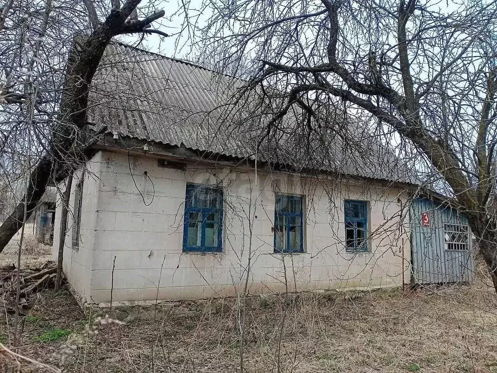 Дом в Брянская область, Жуковский муниципальный округ, пос. Большак  ... - Фото 2