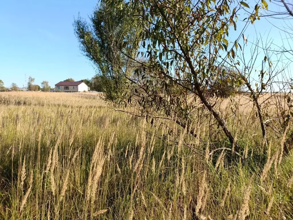Участок в Московская область, Воскресенск городской округ, д. ... - Фото 1