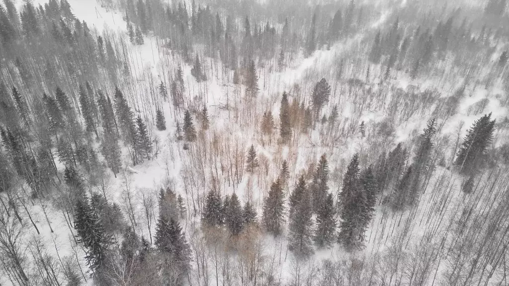 Участок в Томская область, Томск ул. Связистов (19.0 сот.) - Фото 2