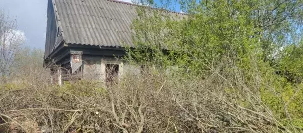 Помещение свободного назначения в Тверская область, Кувшиново ... - Фото 1