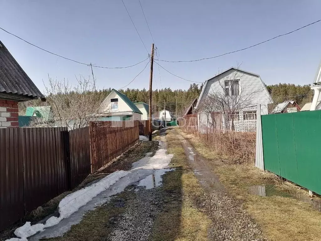 Дом в Алтайский край, Первомайский район, Сосняк СНТ ул. 25-я, 301 (37 ... - Фото 2