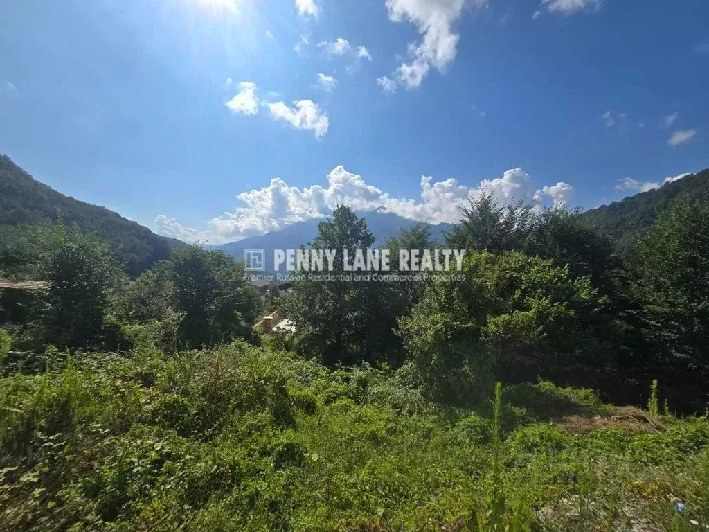 Участок в Краснодарский край, Сочи Красная Поляна пгт, ул. Ачишховская ... - Фото 1