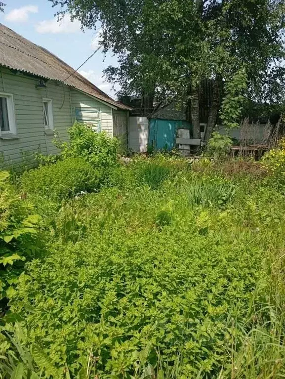 Дом в Смоленская область, Смоленский муниципальный округ, д. Шеломец ... - Фото 2