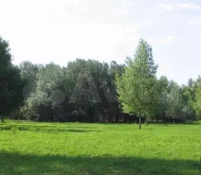 Участок 16,5 сот. (СНТ, ДНП) - Фото 1
