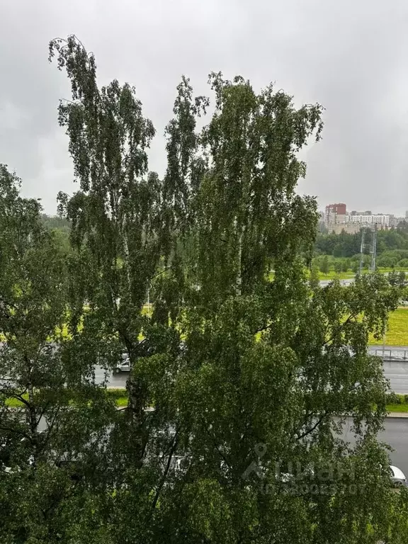 2-к кв. Санкт-Петербург просп. Луначарского, 110 (45.2 м) - Фото 1