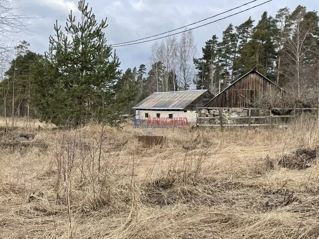 Участок в Ленинградская область, Приозерский район, Ларионовское ... - Фото 0