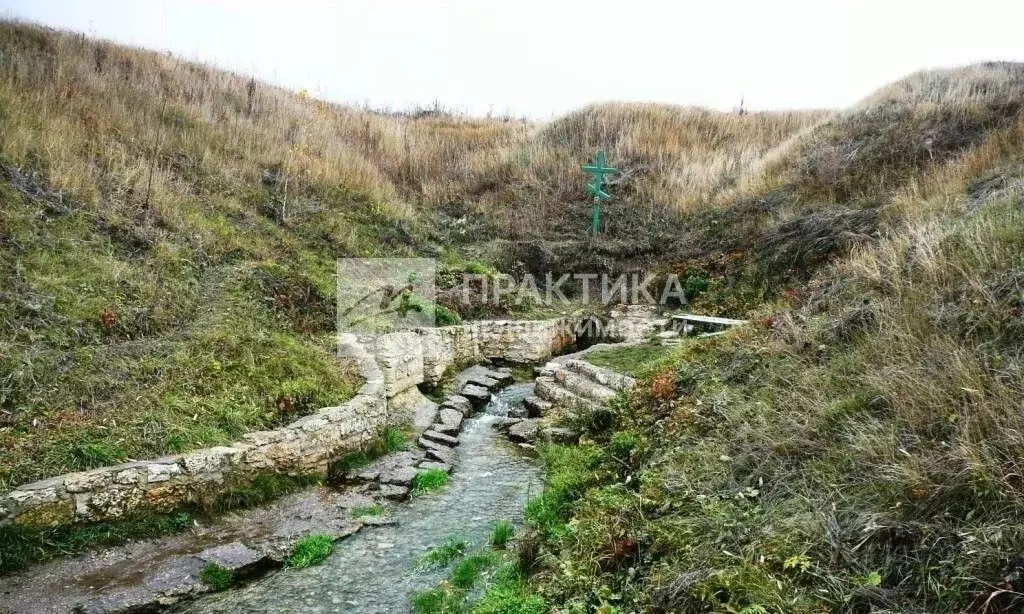 Участок в Липецкая область, Задонский муниципальный округ, с. ... - Фото 1