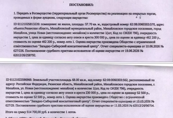 Гараж в Рязанская область, Михайлов Новая ул. (58 м) - Фото 2