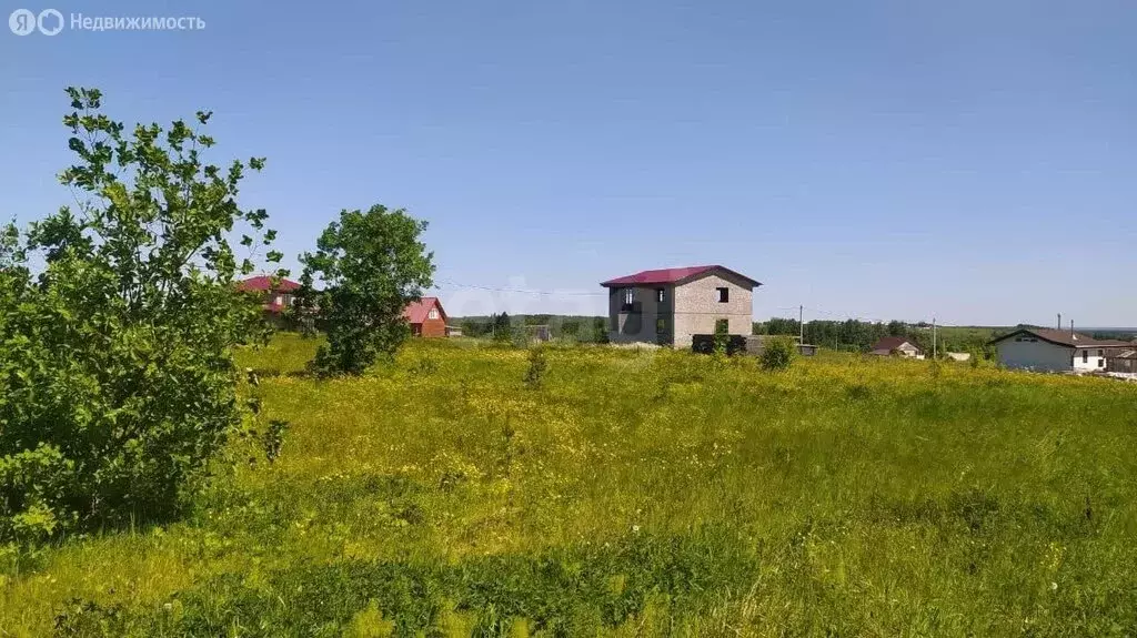 Участок в Вологодская область, Великоустюгский муниципальный округ, ... - Фото 1