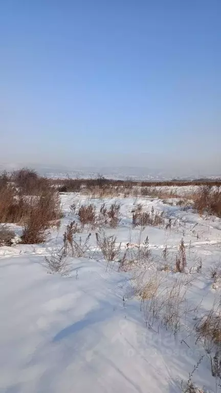 Участок в Бурятия, Иволгинский район, Сотниковское с/пос, с. Сотниково ... - Фото 0