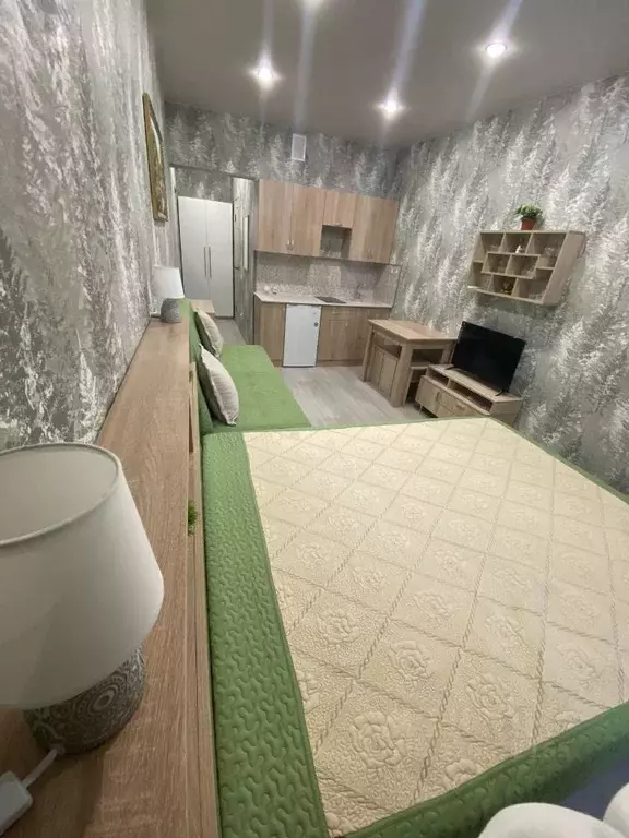 Студия Краснодарский край, Горячий Ключ Рябиновая ул., 2Вк2 (24.0 м) - Фото 1