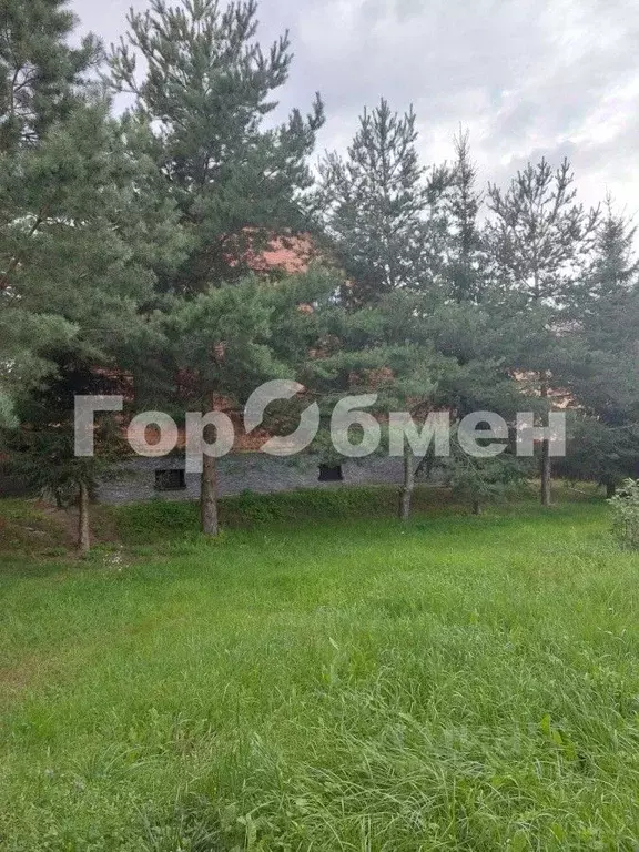 Дом в Московская область, Богородский городской округ, д. Марьино ул. ... - Фото 1