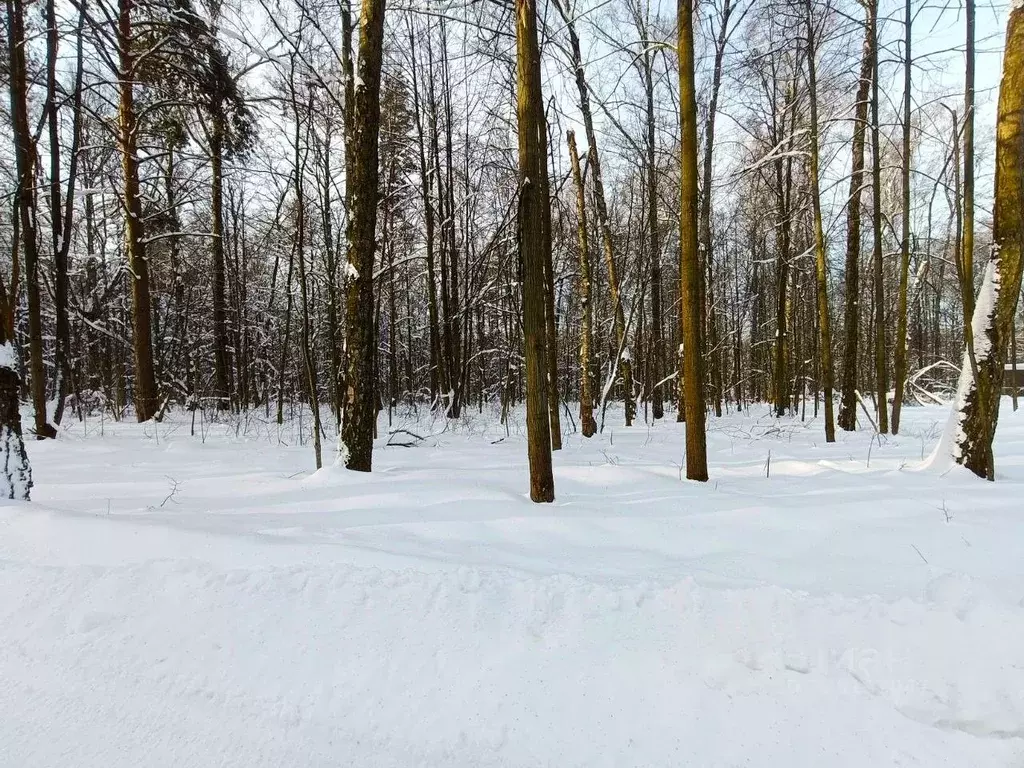Участок в Московская область, Ленинский городской округ, д. Спасские ... - Фото 2