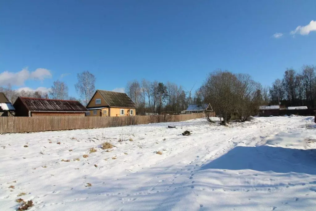 Участок в Ленинградская область, Выборгский район, Каменногорское ... - Фото 1
