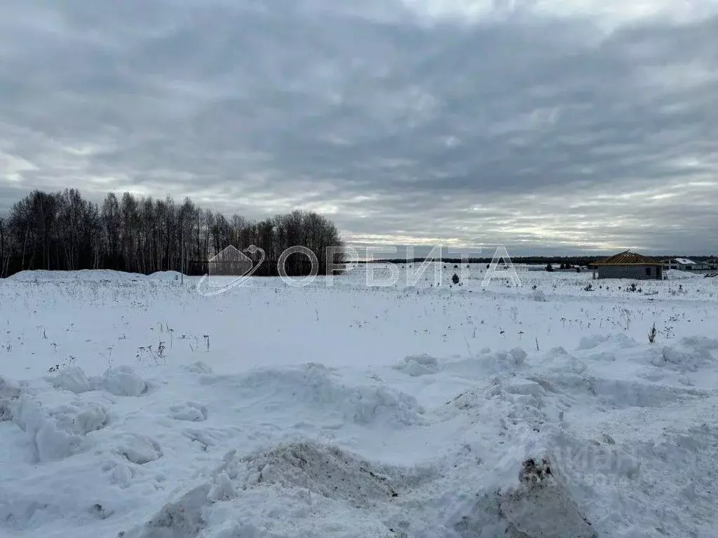 Участок в Тюменская область, Тюменский район, д. Черная Речка  (200.0 ... - Фото 1