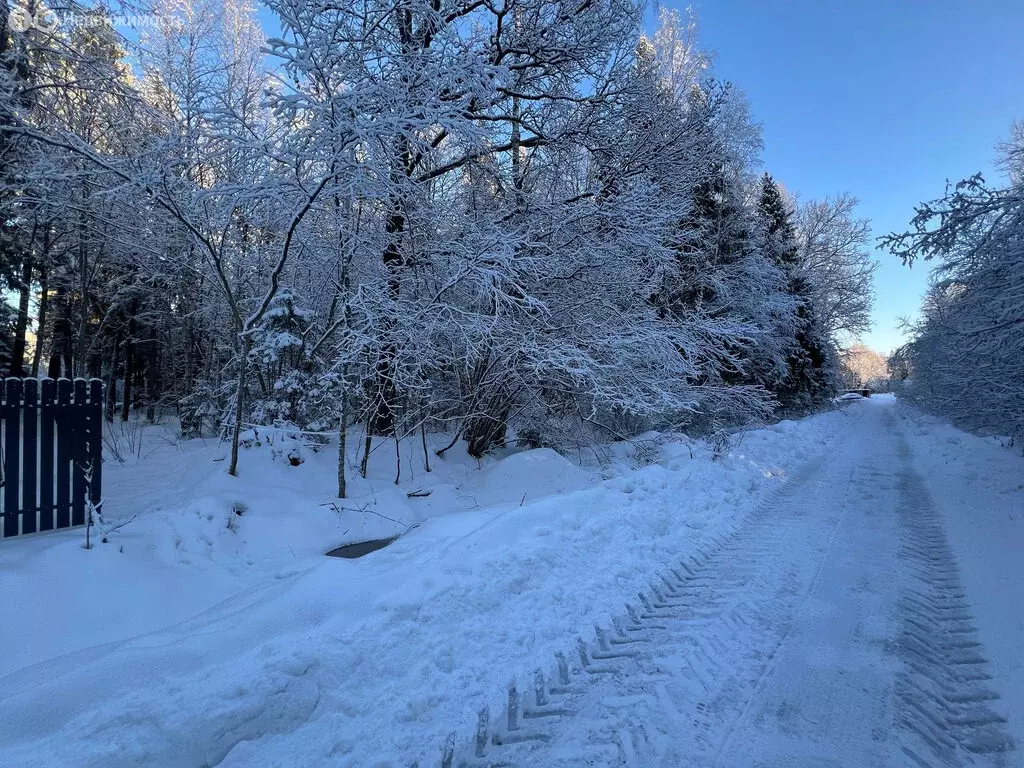 Участок в Московская область, городской округ Пушкинский, деревня ... - Фото 1