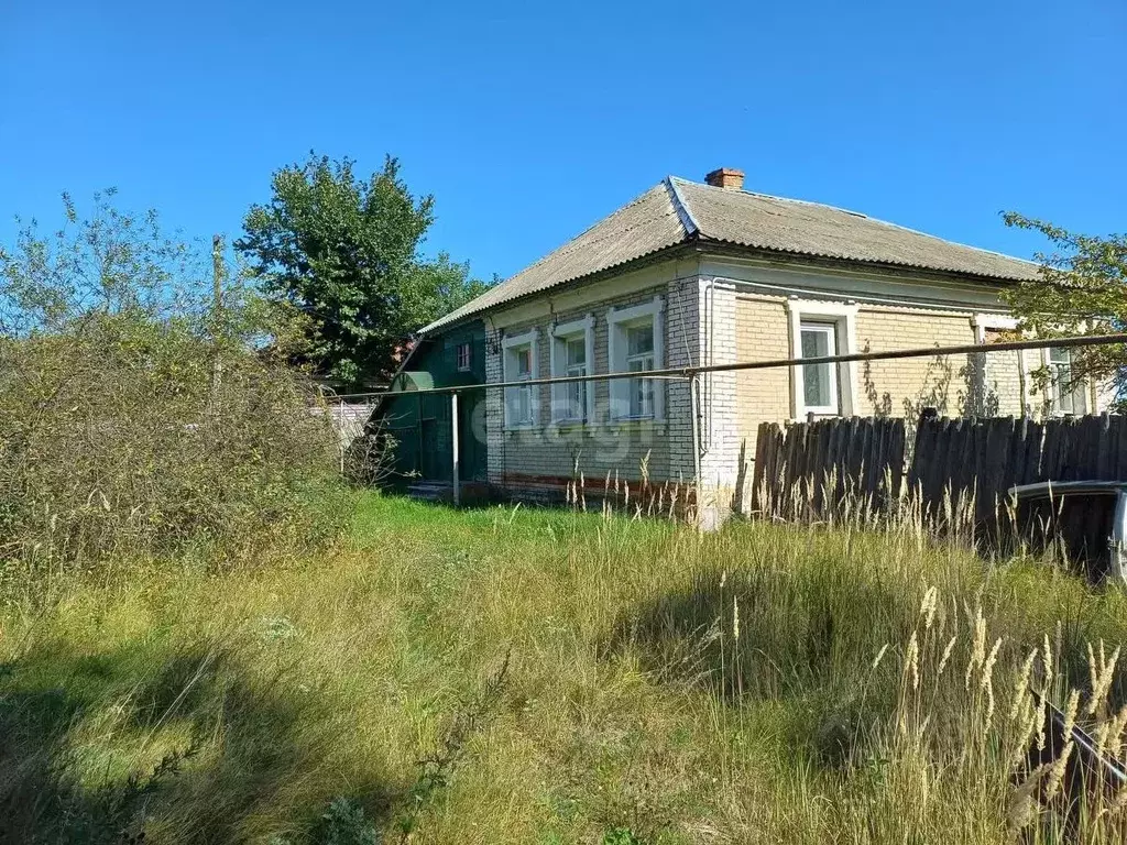 Дом в Нижегородская область, Выкса городской округ, Ближне-Песочное рп ... - Фото 0