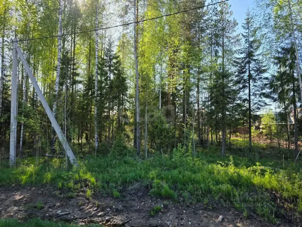 Участок в Коми, Сыктывкар Емваль мкр,  (10.51 сот.) - Фото 2