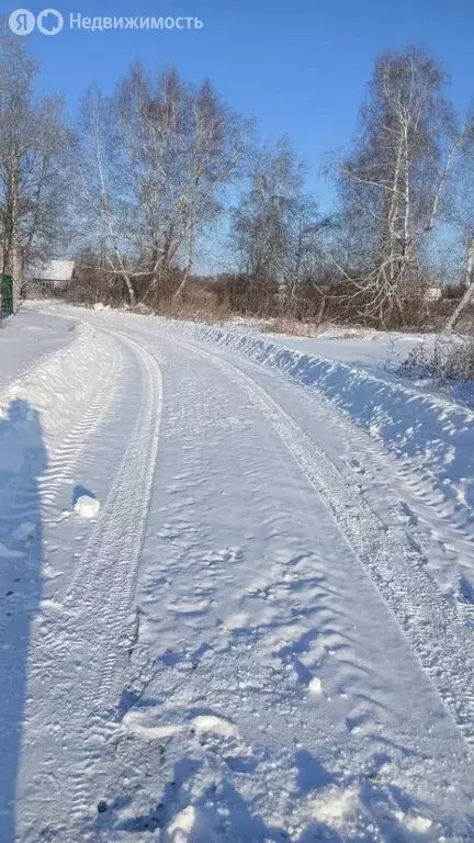 Дом в Челябинская область, Еманжелинский муниципальный округ, рабочий ... - Фото 2