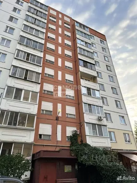 1-к кв. Липецкая область, Липецк Матырский мкр, ул. Моршанская, 6А ... - Фото 1