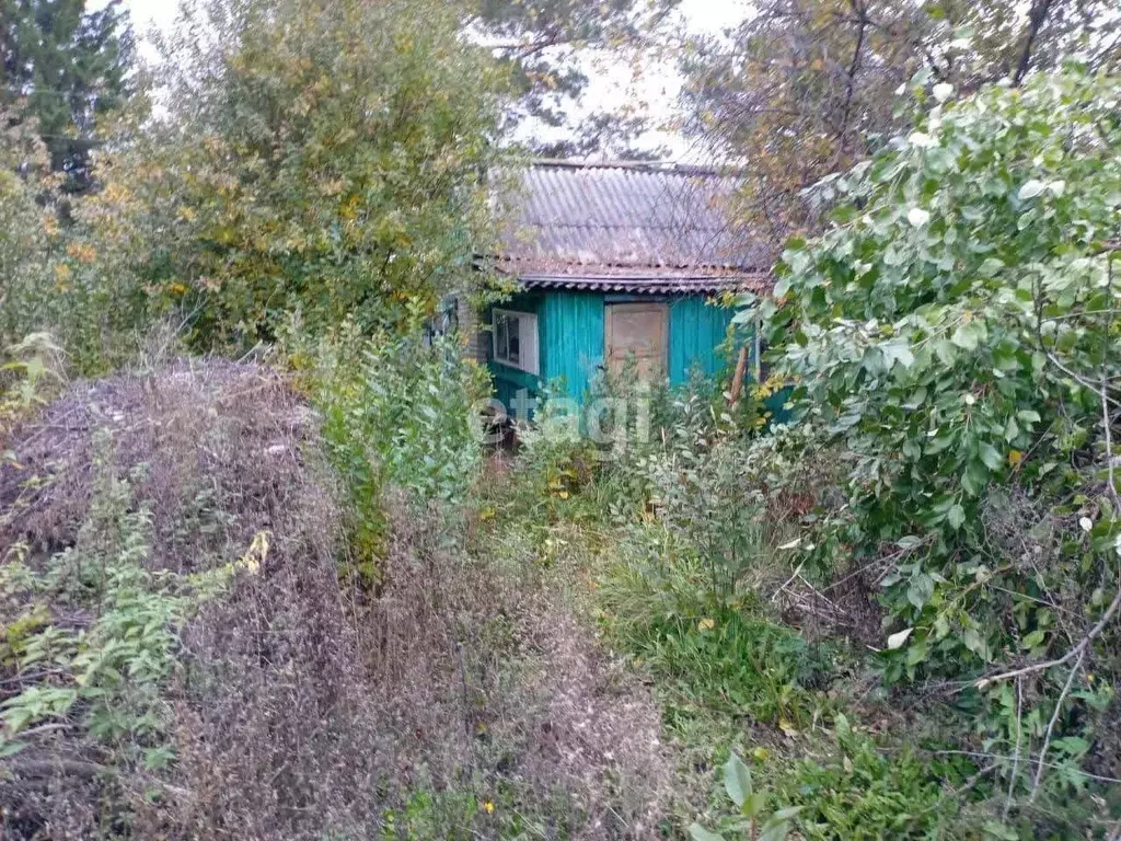 Дом в Курганская область, Курган Вишня садовое товарищество,  (20 м) - Фото 0