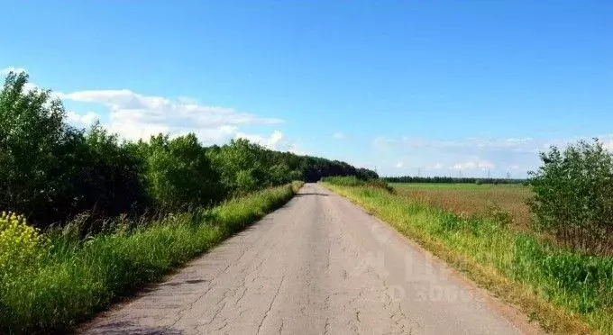 Таунхаус в Ленинградская область, Ломоносовский район, Аннинское ... - Фото 0