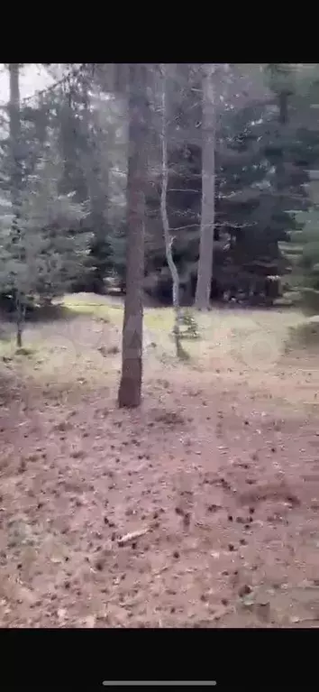 Участок 10 сот. (ИЖС) - Фото 0