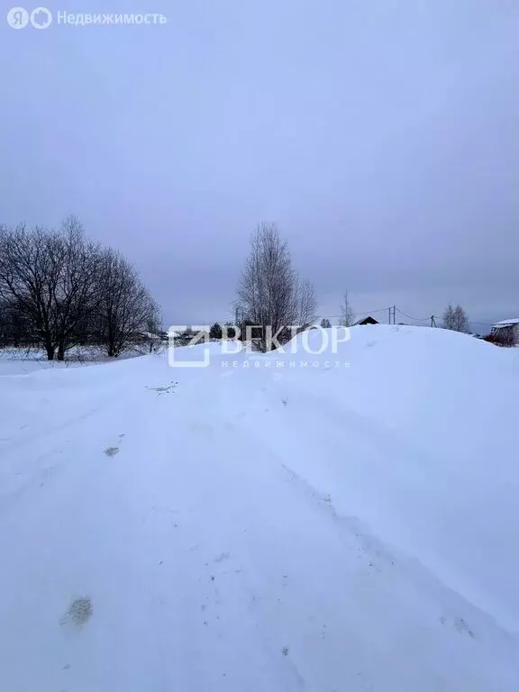 Участок в Костромской район, Бакшеевское сельское поселение, деревня ... - Фото 1