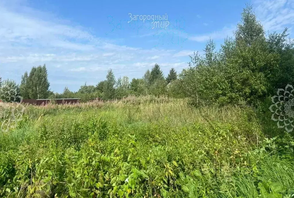 Участок в Московская область, Дмитровский муниципальный округ, д. ... - Фото 1